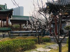 -迎泽公园