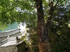 -罔极寺