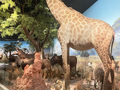 -陕西自然博物馆