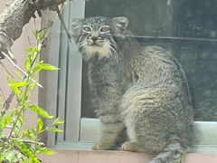 -青藏高原野生动物园