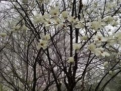 -敬亭山风景名胜区