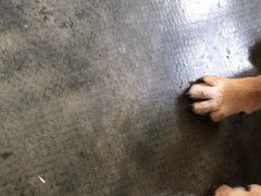 -拱北楼(皇亭广场店)