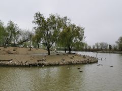 -盐城丹顶鹤湿地生态旅游区