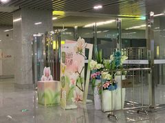 -东莞松山湖万象汇