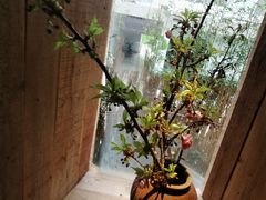 -天水蔬食料理(树德之光店)