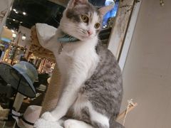 -小时光咖啡馆(开森度假森林店)