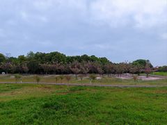 -苏州湾体育公园