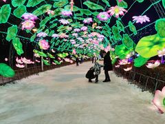 -沈阳奥体冰雪嘉年华