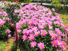 -石家庄市动物园