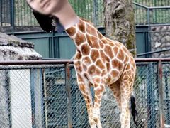 -泉州海丝野生动物世界