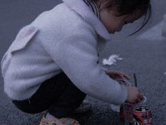 -紫峰大厦