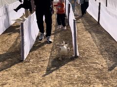 -武汉紫薇都市田园