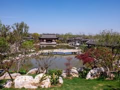 -上海滨江森林公园