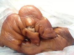 -济南孟家扒蹄店