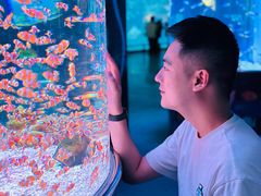 -海合安成都极地海洋公园
