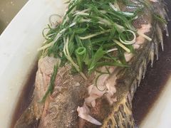 清蒸鳜鱼-香融府·烤鸭·家常菜(马家堡路店)