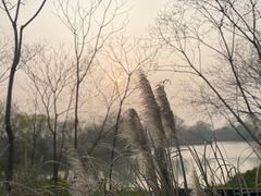 -木守西溪溪隐餐厅