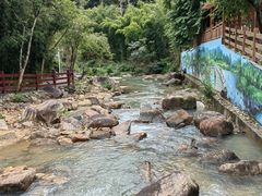 -广州白江湖森林公园