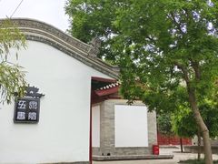 -雁滩公园