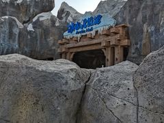 -上海海昌海洋公园
