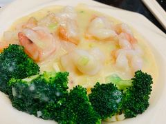 -新兴·金羊座·粤菜点心(乐峰店)