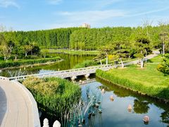 -漳泽水库水上公园
