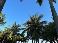 -深圳湾公园(南山区)