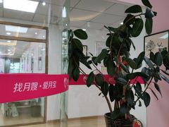 -爱月宝月嫂·育儿嫂(哈尔滨总店)