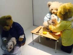 -成都泰迪熊博物馆