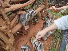 -云南野生动物园