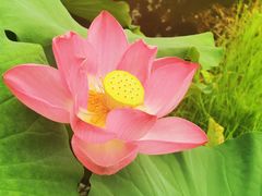 -济南植物园