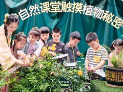 -金豆子幼稚园
