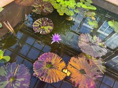 -国家植物园南园