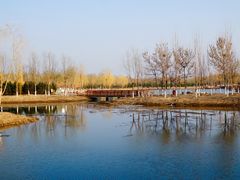 -东郊湿地公园