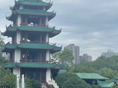 -桂湖森林公园