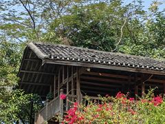 -深圳国际园林花卉博览园