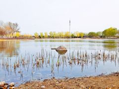 -永定河休闲森林公园