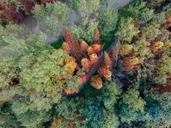 -桤木河湿地公园