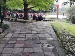 -成都市活水公园