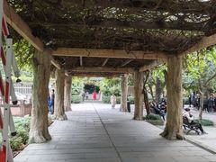 -房湖公园