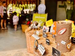 -大象粑粑造纸公园