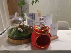 -齐玉齿科JADENTAL