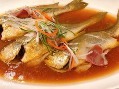 鸡汁野生黄鱼-品大伍·食之道品伍味(汪海店)