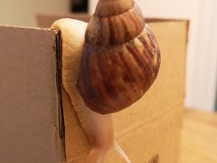 -萌宠奇缘