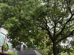 -杭州西湖风景名胜区-满觉陇四眼井