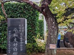 -成田山新胜寺