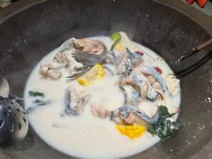 -鲜潭蒸汽石锅鱼(五道口购物中心店)