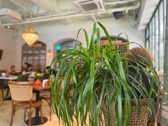 -OLLA 西班牙餐厅(丰盛里店)