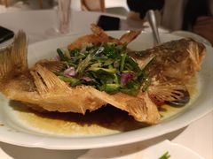 -小荔园·粤菜小馆(美的悦然广场店)