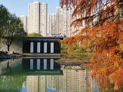 -白塘生态植物园